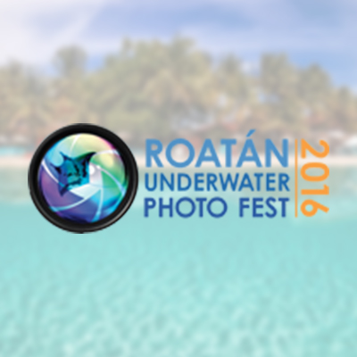 Roatan Underwater Photo Festival 2016