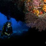 Saba Diver, Reefscape, Saba, Coral, Scuba Diver